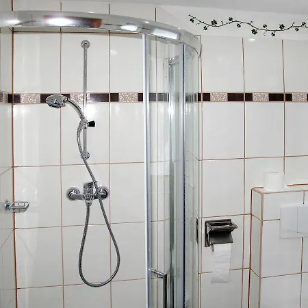 Haus Am Muhlbach 110w بيشلباخ